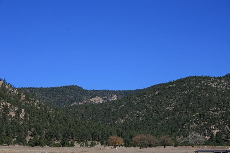 20081029 Alpacas 002.jpg